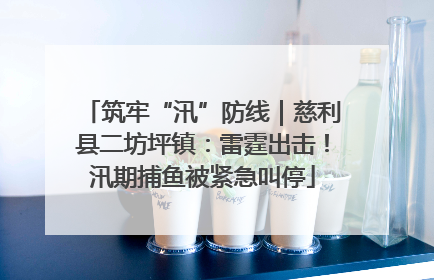 筑牢“汛”防线｜慈利县二坊坪镇：雷霆出击！汛期捕鱼被紧急叫停