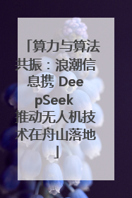 算力与算法共振：浪潮信息携 DeepSeek 推动无人机技术在舟山落地