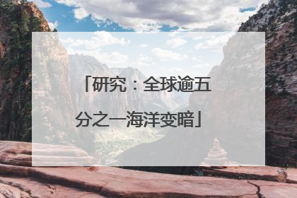 研究：全球逾五分之一海洋变暗