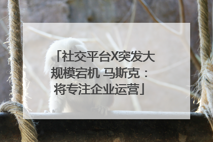 社交平台X突发大规模宕机 马斯克：将专注企业运营