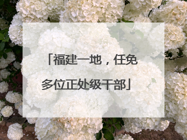 福建一地，任免多位正处级干部