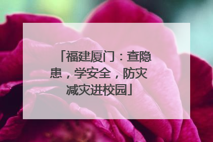 福建厦门：查隐患，学安全，防灾减灾进校园