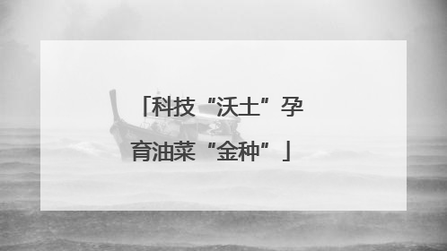 科技“沃土”孕育油菜“金种”