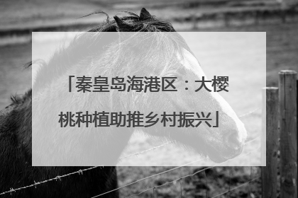 秦皇岛海港区：大樱桃种植助推乡村振兴