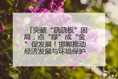 突破“跷跷板”困局，点“绿”成“金”促发展！邯郸推动经济发展与环境保护互促共赢