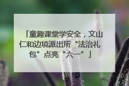 童趣课堂学安全，文山仁和边境派出所“法治礼包”点亮“六一”