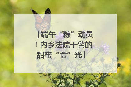 端午“粽”动员！内乡法院干警的甜蜜“食”光
