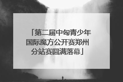第二届中匈青少年国际魔方公开赛郑州分站赛圆满落幕