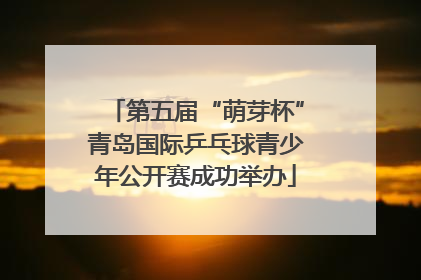 第五届“萌芽杯”青岛国际乒乓球青少年公开赛成功举办