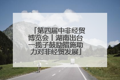 第四届中非经贸博览会丨湖南出台一揽子鼓励措施助力对非经贸发展
