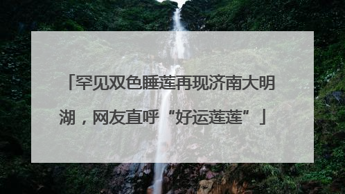 罕见双色睡莲再现济南大明湖，网友直呼“好运莲莲”