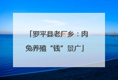 罗平县老厂乡：肉兔养殖“钱”景广
