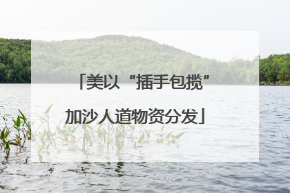 美以“插手包揽”加沙人道物资分发