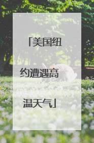 美国纽约遭遇高温天气