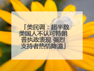 美民调：超半数美国人不认可特朗普执政表现 强烈支持者热情降温