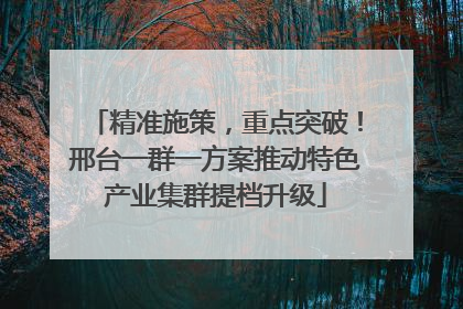 精准施策，重点突破！邢台一群一方案推动特色产业集群提档升级