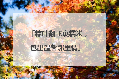 粽叶翻飞裹糯米，包出温馨邻里情