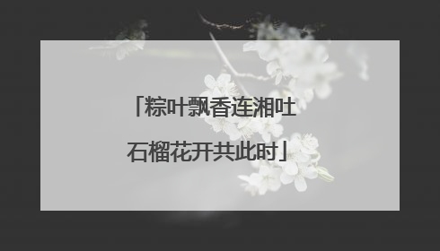 粽叶飘香连湘吐 石榴花开共此时
