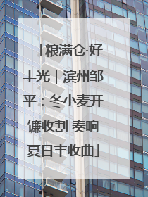 粮满仓·好丰光｜滨州邹平：冬小麦开镰收割 奏响夏日丰收曲