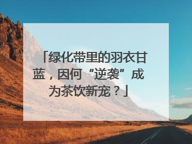 绿化带里的羽衣甘蓝，因何“逆袭”成为茶饮新宠？