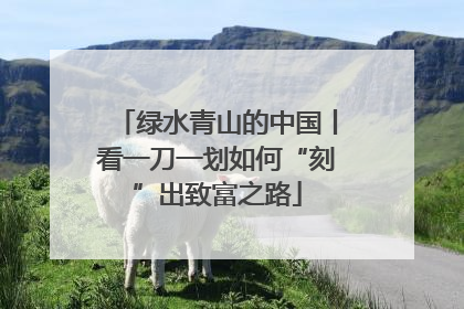 绿水青山的中国丨看一刀一划如何“刻”出致富之路