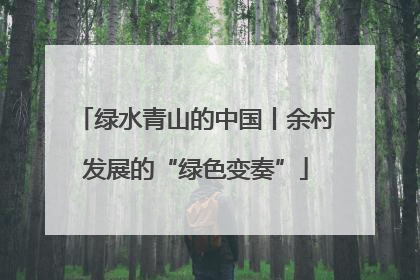 绿水青山的中国丨余村发展的“绿色变奏”