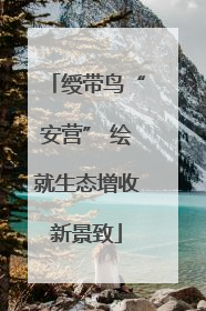 绶带鸟“安营” 绘就生态增收新景致