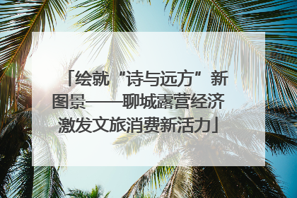 绘就“诗与远方”新图景——聊城露营经济激发文旅消费新活力