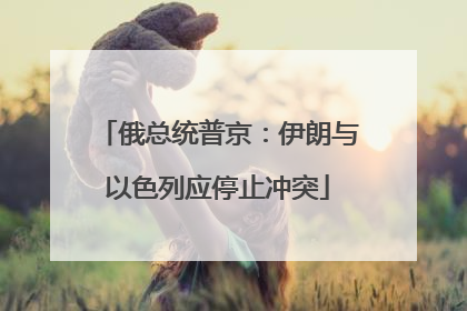 俄总统普京：伊朗与以色列应停止冲突