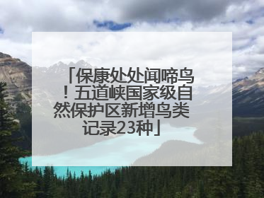 保康处处闻啼鸟！五道峡国家级自然保护区新增鸟类记录23种
