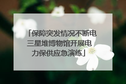 保障突发情况不断电 三星堆博物馆开展电力保供应急演练
