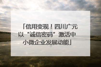 信用变现！四川广元以“诚信密码”激活中小微企业发展动能