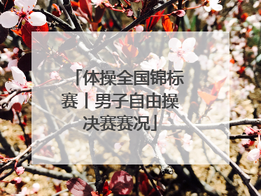 体操全国锦标赛丨男子自由操决赛赛况