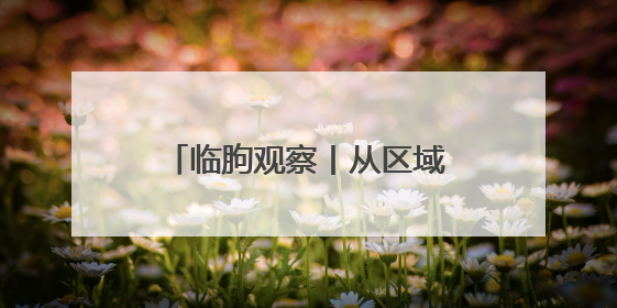 临朐观察丨从区域农产品到国际爆款产品的破局进阶之路