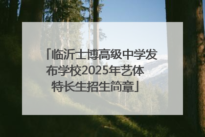 临沂士博高级中学发布学校2025年艺体特长生招生简章