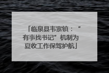 临泉县韦寨镇：“有事找书记”机制为夏收工作保驾护航