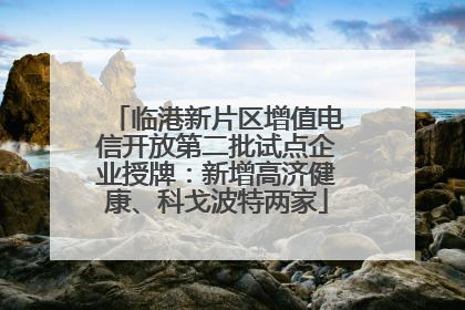 临港新片区增值电信开放第二批试点企业授牌：新增高济健康、科戈波特两家