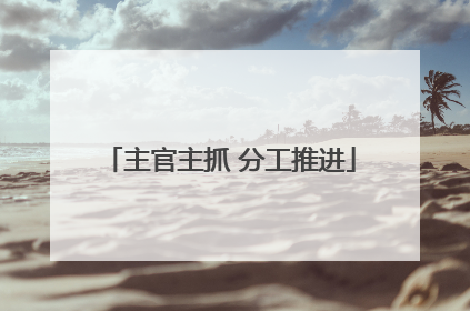主官主抓 分工推进