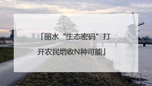 丽水“生态密码”打开农民增收N种可能