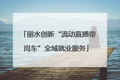 丽水创新“流动直播带岗车”全域就业服务