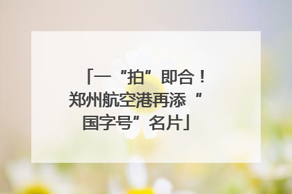 一“拍”即合！郑州航空港再添“国字号”名片