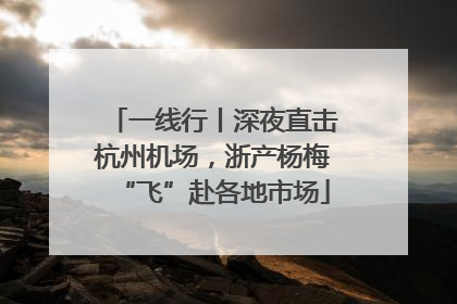 一线行丨深夜直击杭州机场，浙产杨梅“飞”赴各地市场