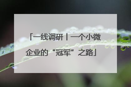 一线调研丨一个小微企业的“冠军”之路