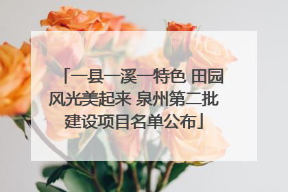 一县一溪一特色 田园风光美起来 泉州第二批建设项目名单公布