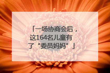 一场协商会后，这164名儿童有了“委员妈妈”