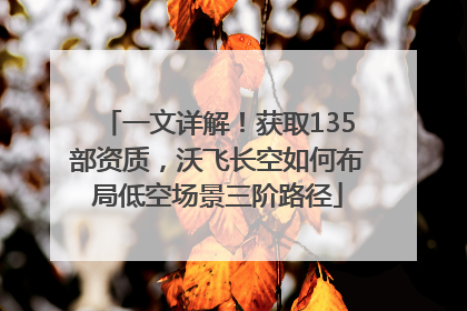 一文详解！获取135部资质，沃飞长空如何布局低空场景三阶路径