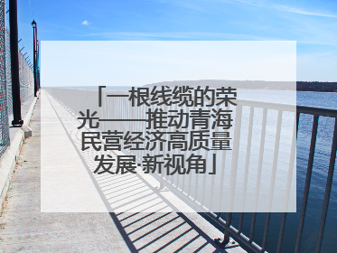 一根线缆的荣光——推动青海民营经济高质量发展·新视角