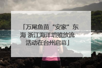 万尾鱼苗“安家”东海 浙江海洋增殖放流活动在台州启幕