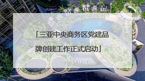 三亚中央商务区党建品牌创建工作正式启动