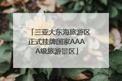 三亚大东海旅游区正式挂牌国家AAAA级旅游景区